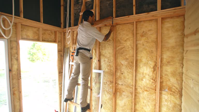 Insulation Air Sealing in Manila, AR